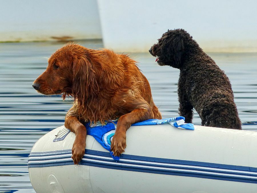 Click to See Next Image